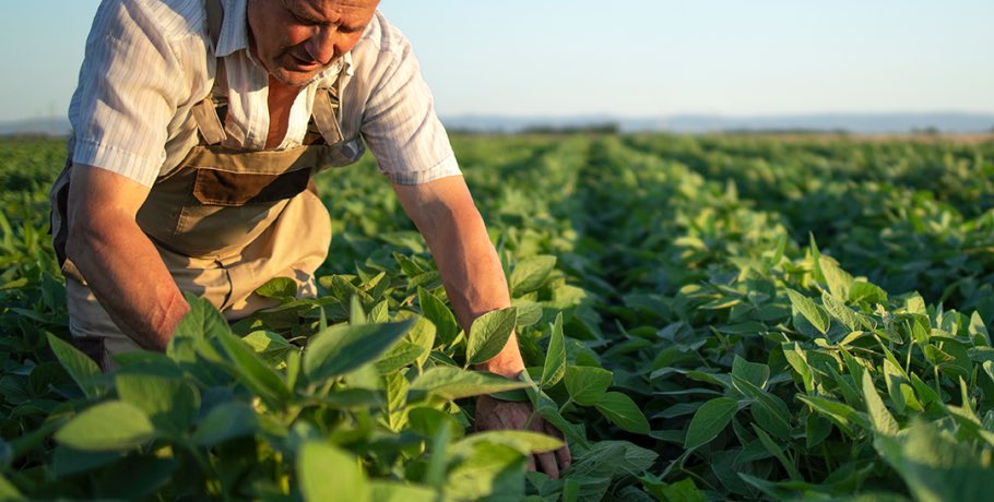 Redação do ENEM em Belém aborda reconhecimento social e desafios do trabalho rural